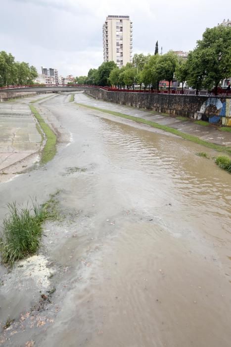 Temporal de maig a Girona per Temps de Flors