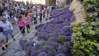 Temps de Flors es farà amb plantes de poca aigua i es regarà amb aigua del freàtic