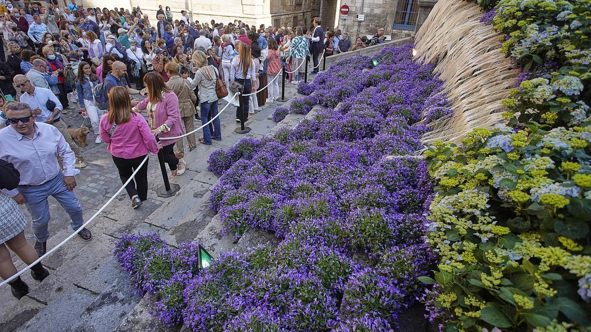 El muntatge a les escales de la Catedral de l'any passat en un projecte de Pia Crozet.