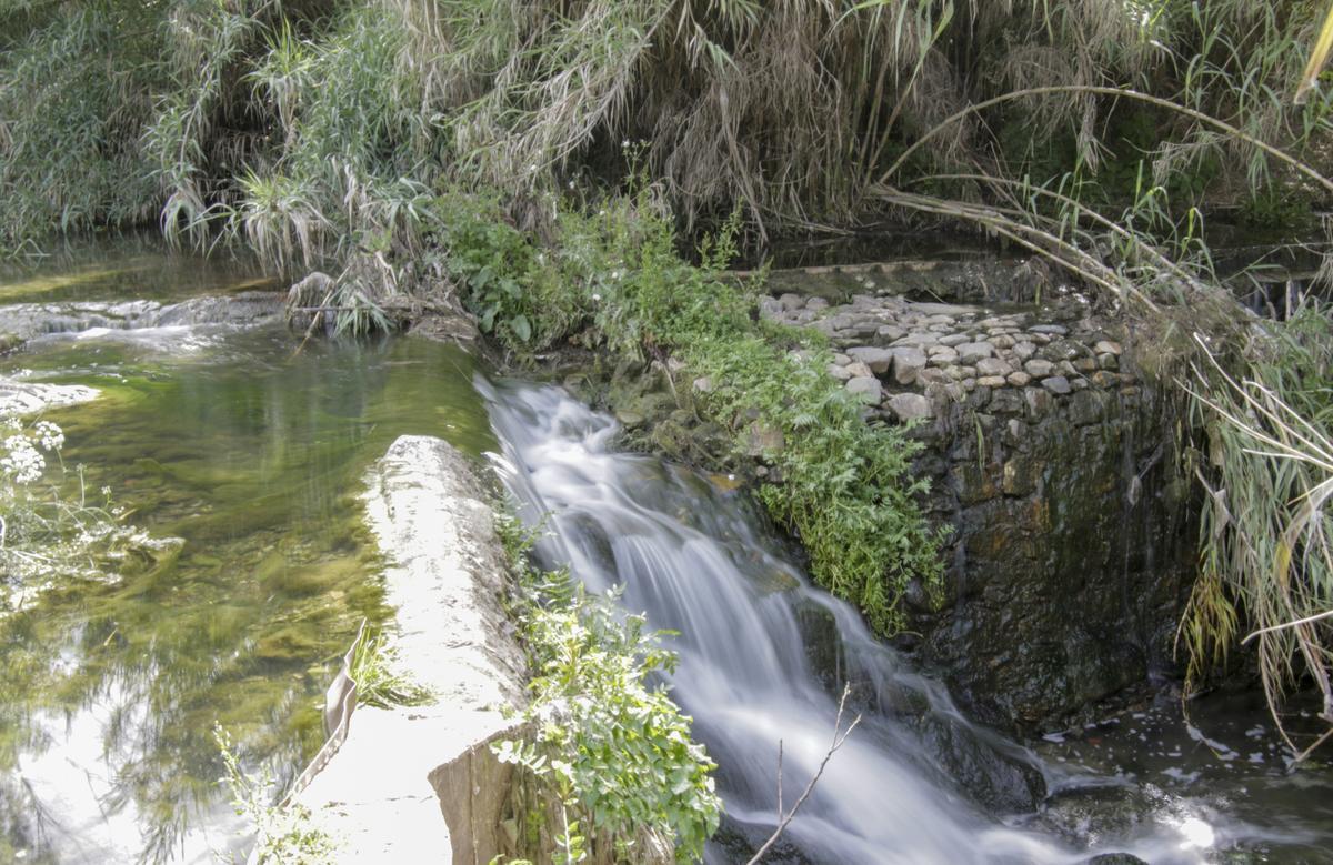 Los vecinos piden el análisis del agua del Marco y su regeneración.