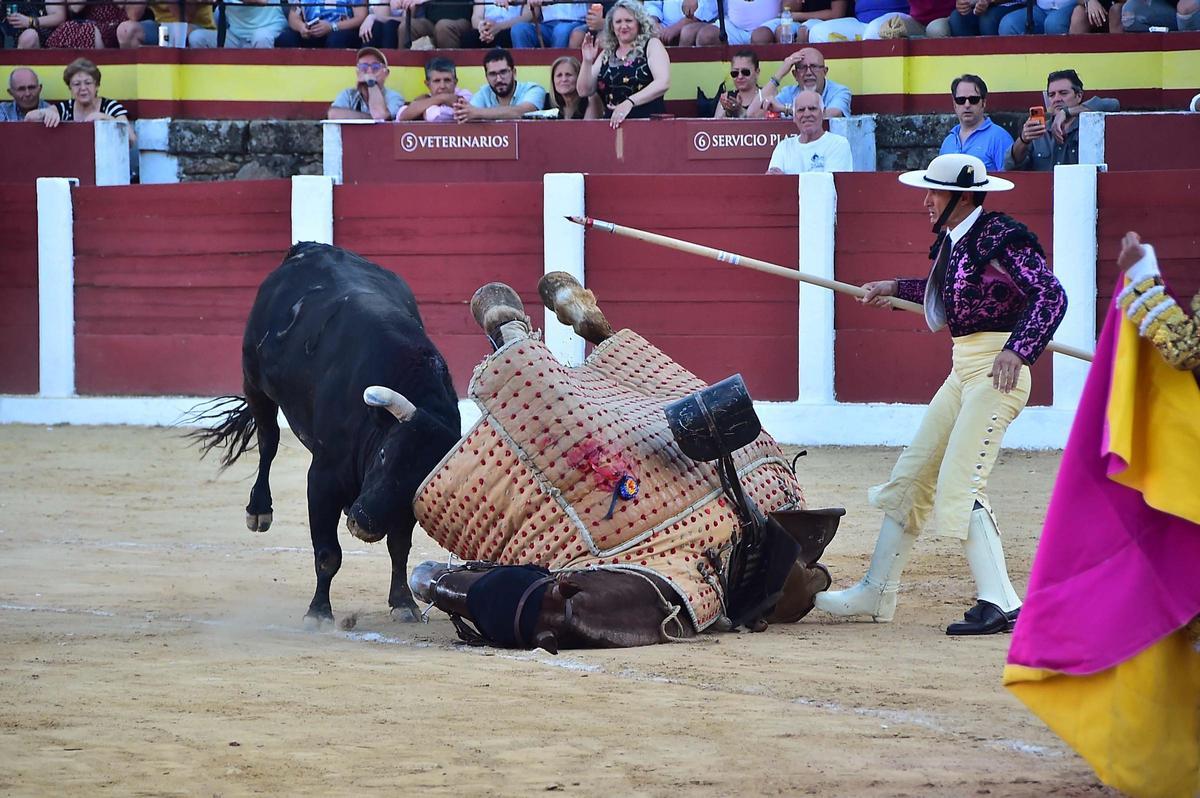 Fotogalería | Las imágenes de la corrida grande de la feria de Plasencia