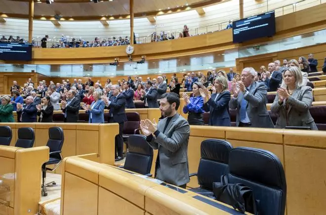 El Senado ratifica la reforma del artículo 49 de la Constitución