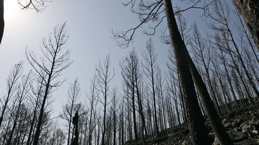 Imatge d&#039;arxiu de l&#039;incendi de 2012 a l&#039;Alt Empordà