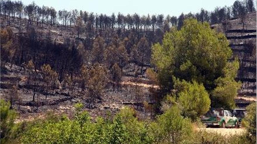 Más de 200 vecinos vuelven a sus casas 30 horas después de que ardiera el monte de Real