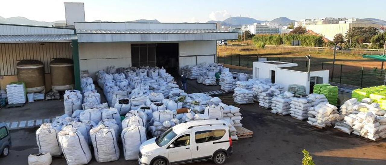 Imagen del exterior del almacén lleno de sacos de algarroba porque en el interior ya no queda espacio para guardarlo. | D.I.