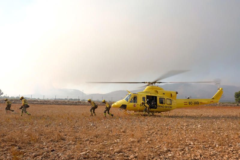 Declarado un incendio en una zona de barranco de Beneixama