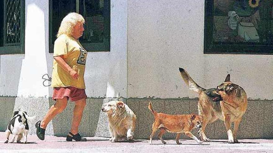 Una imagen habitual de Sonia, con algunos de sus perros, por las calles de Cangas.