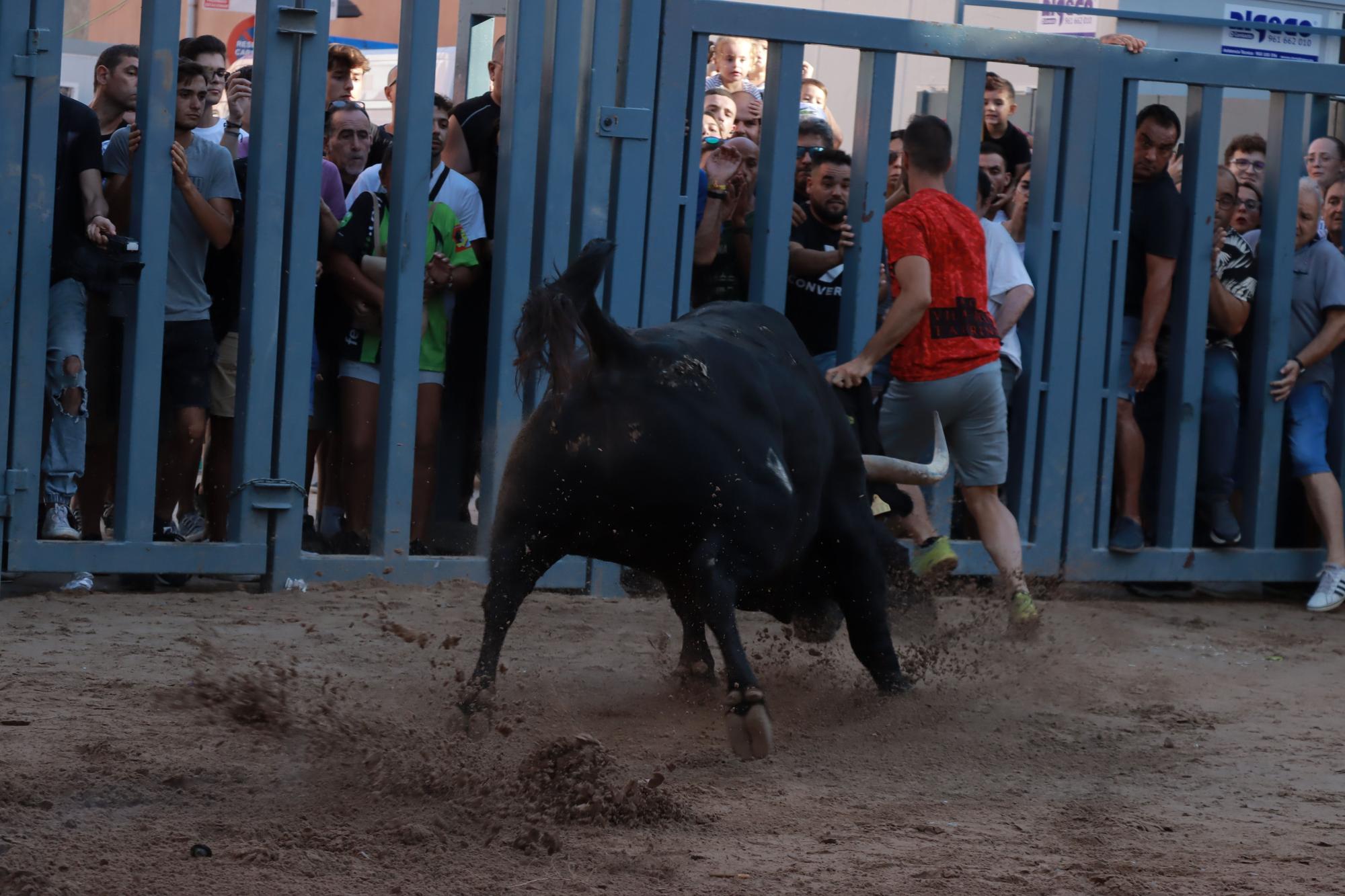 Vila-real galería bous