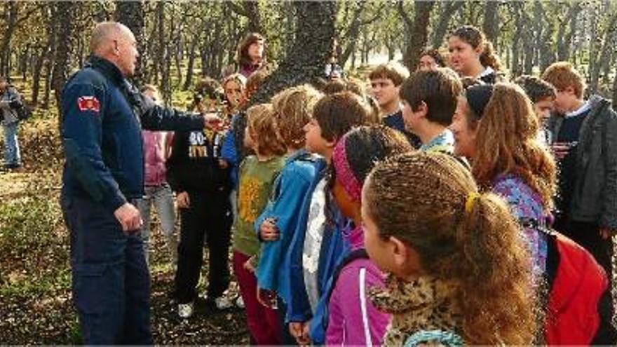 Un bomber mostra a la mainada com les alzines ja comencen a rebrotar.