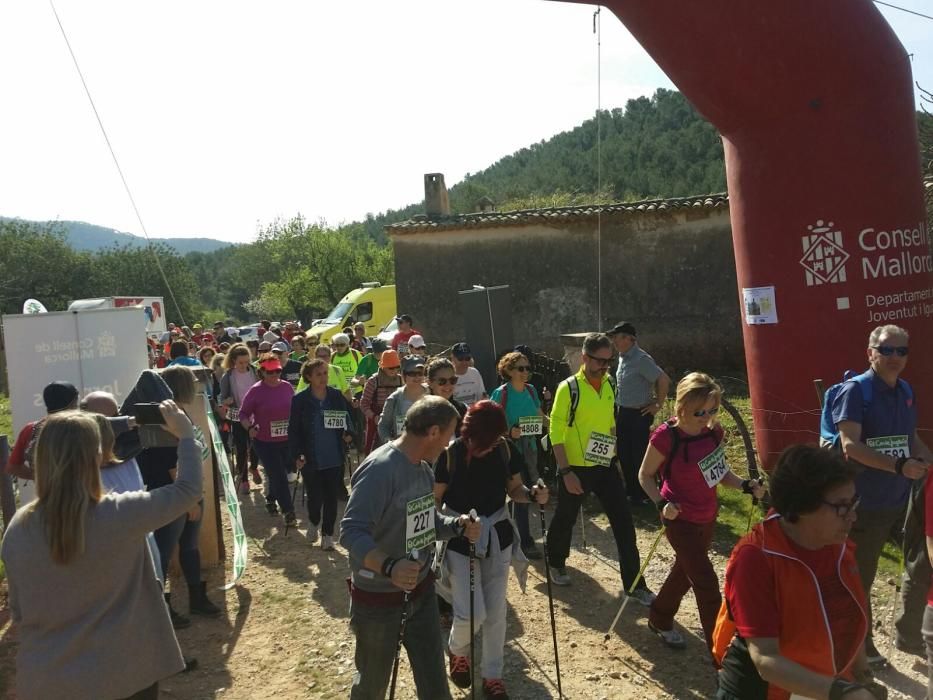 Caminata saludable en la finca Galatzó