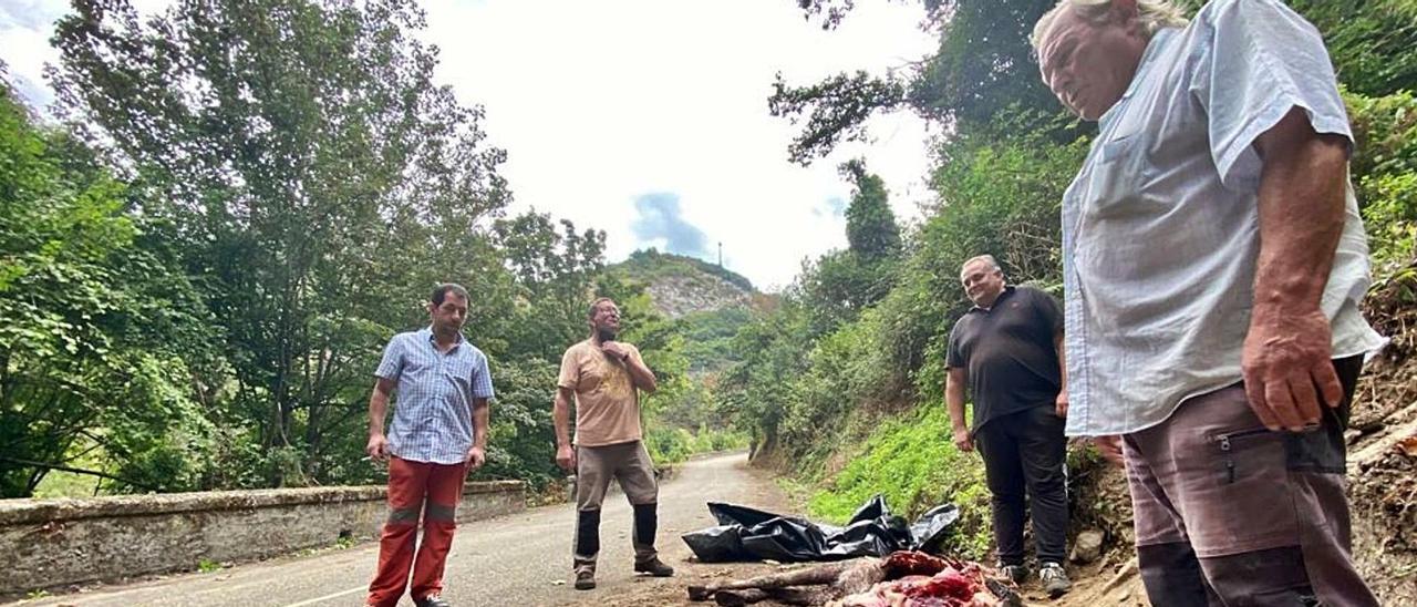 Ceferino Encina, Tito García, Valentín García y Valentín González, junto al burro muerto por el ataque de un oso en La Frecha. | C. M. B.