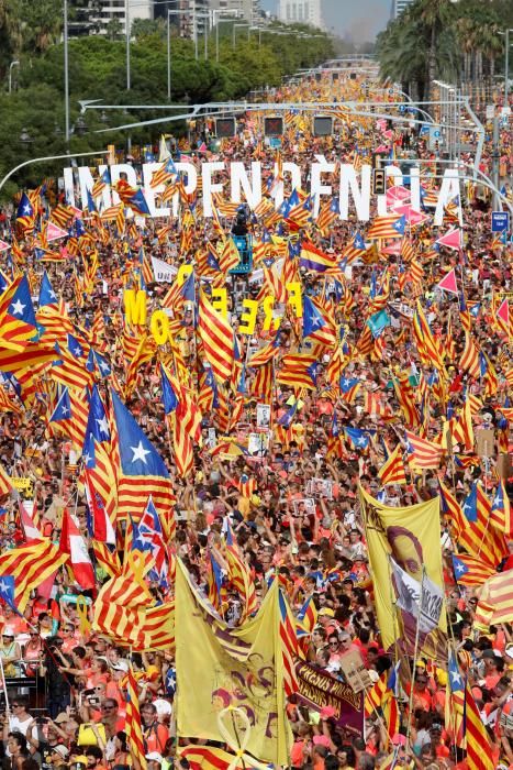 Diada 2018: Totes les imatges de la manifestació