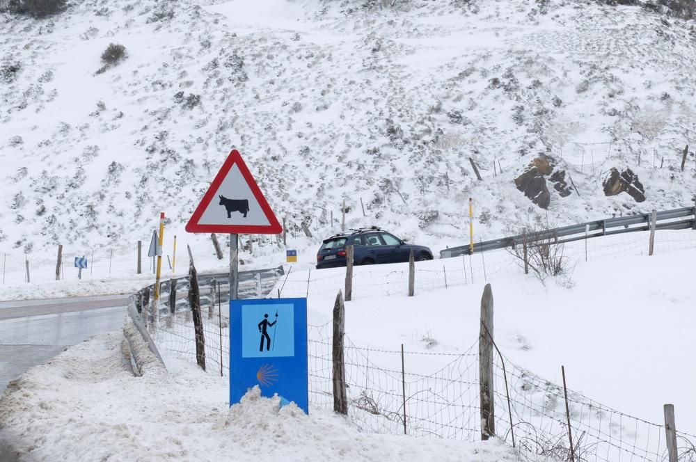 Nevada en Pajares