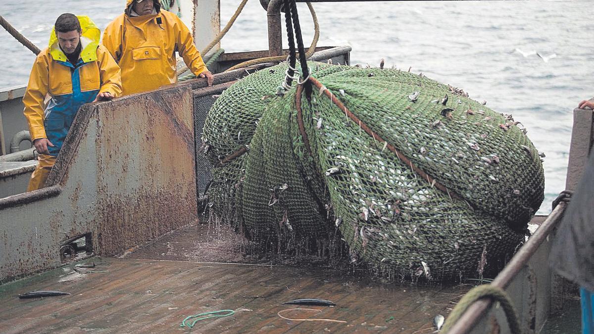 Pescadores a bordo del arrastrero "Luscinda" en una jornda de pesca de xarda, en una imagen de archivo.