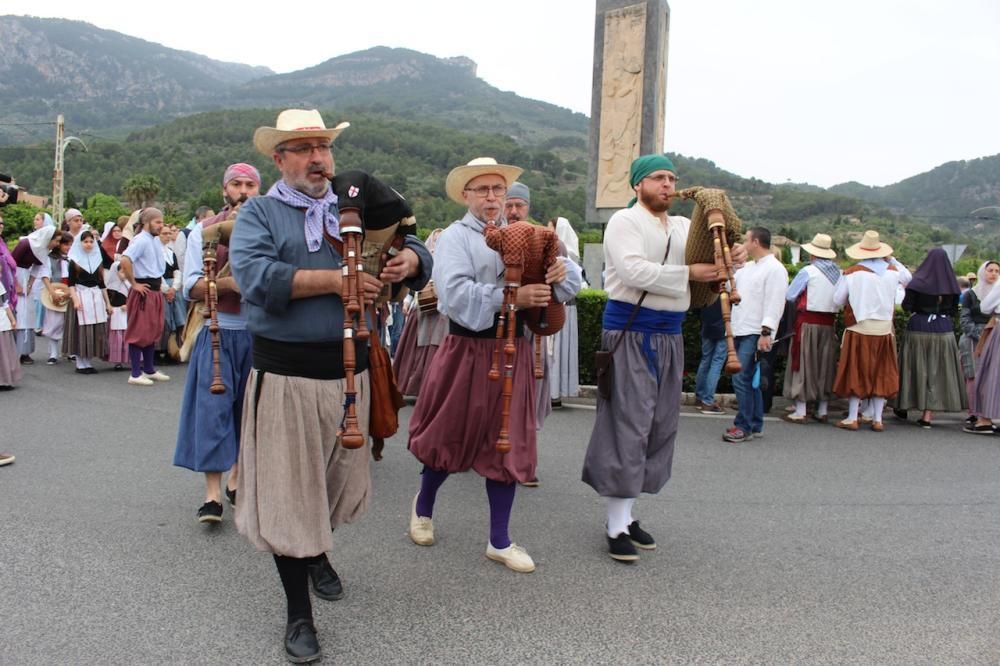 Es Firó de Sóller 2016