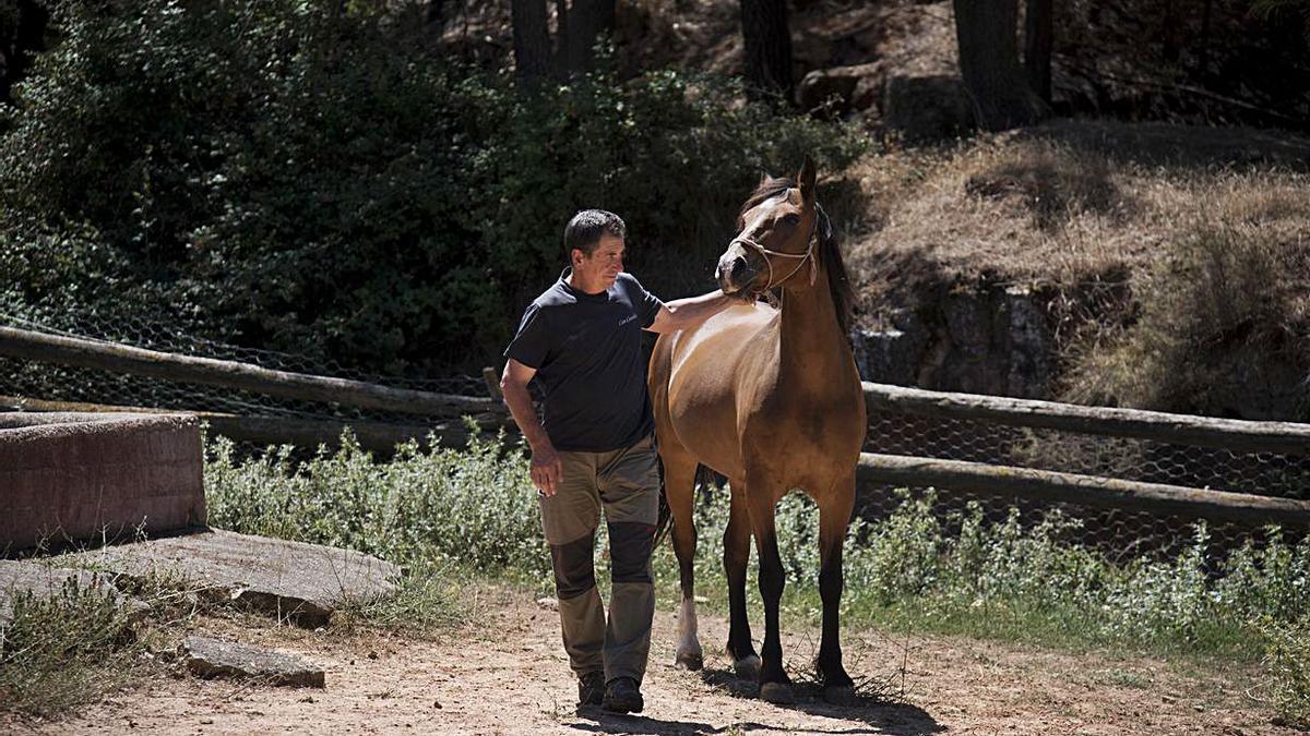 Antoni Miranda, amb un dels cavalls que té a la finca de Can Casellas, a Bellprat  | MIREIA ARSO