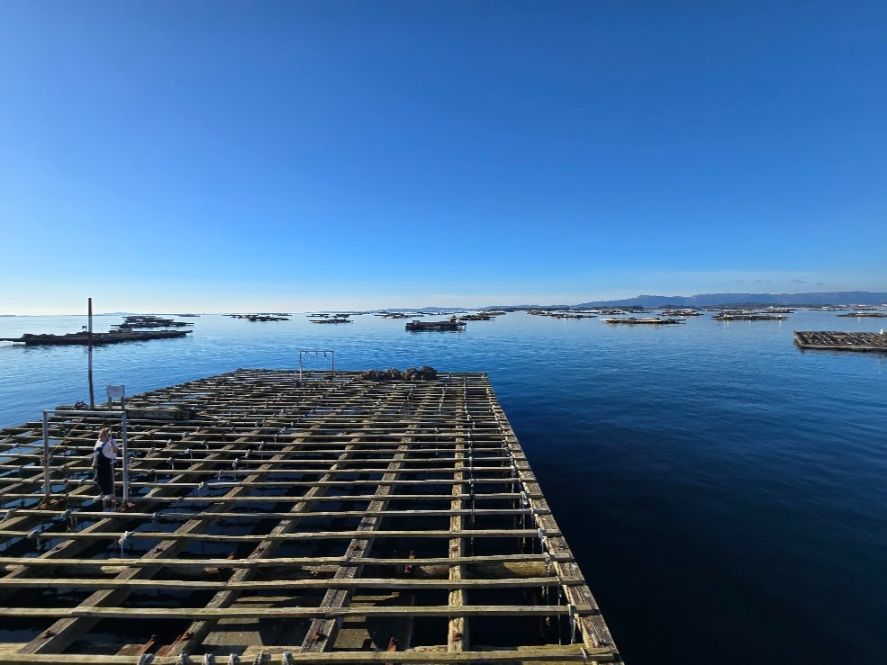Así se despidió el año en el catamarán restaurante Fly Delfín, de Cruceros do Ulla Turimares.