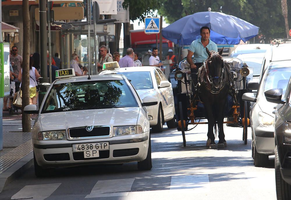 Los taxistas malagueños se suman a la huelga