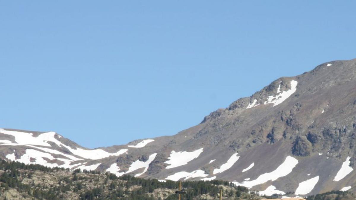 Un ramat de vaca bruna del Pirineu a les pastures altes | ARXIU PARTICULAR