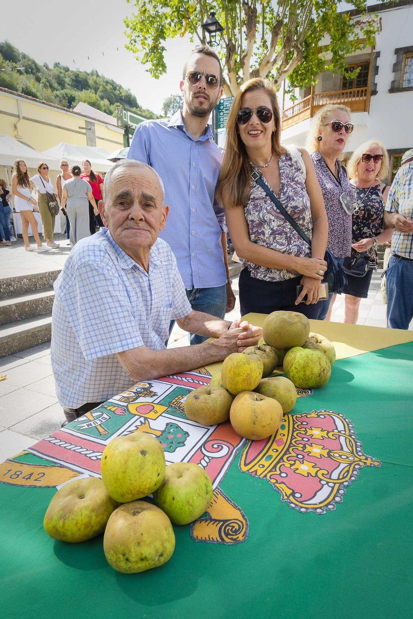 Fiesta de la manzana en Valleseco
