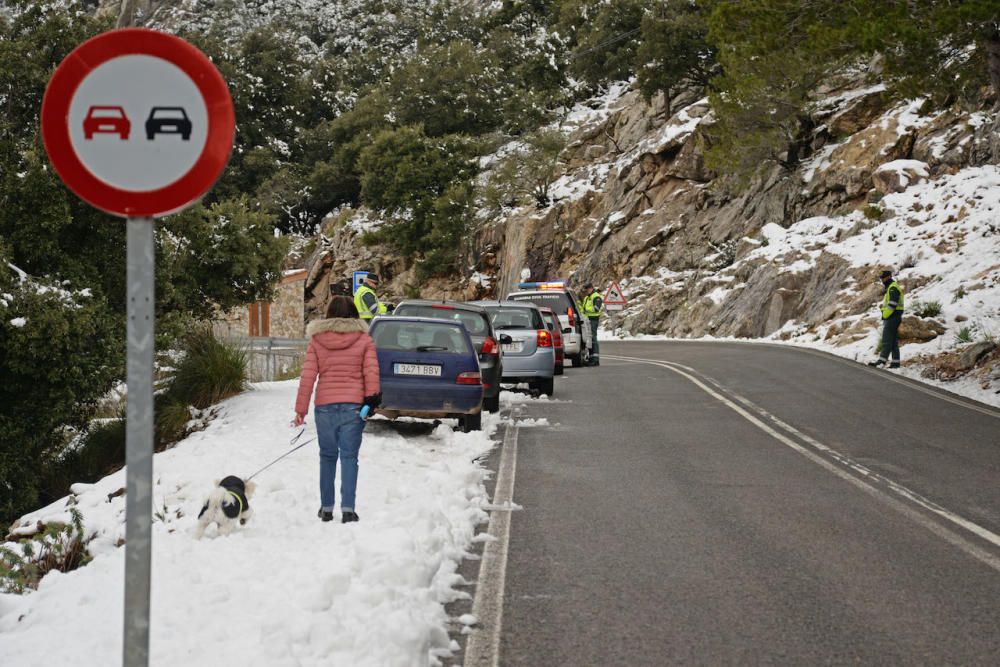 Am Freitag (2.2.) hat es in den Höhenlagen von Mallorca geschneit - die weiße Pracht war am Samstag weithin sichtbar und Attraktion für kleine und große Ausflügler.