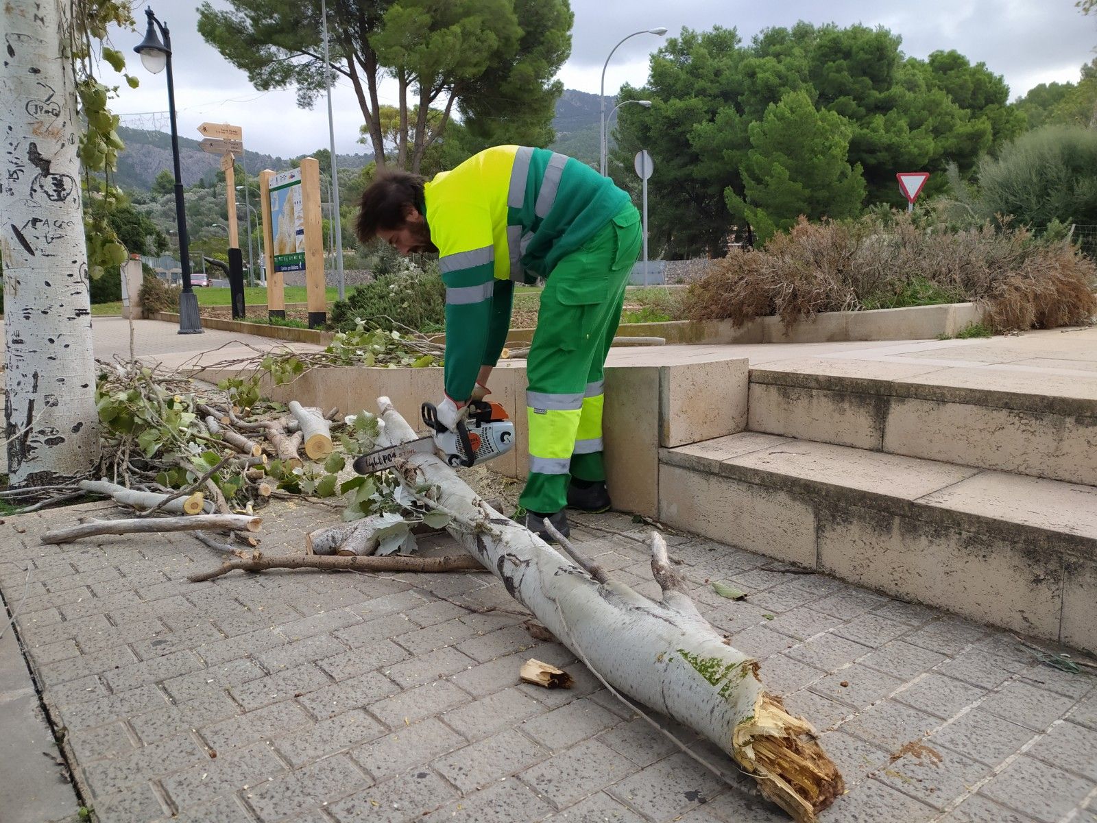 El temporal de viento provoca un centenar de incidentes en Baleares