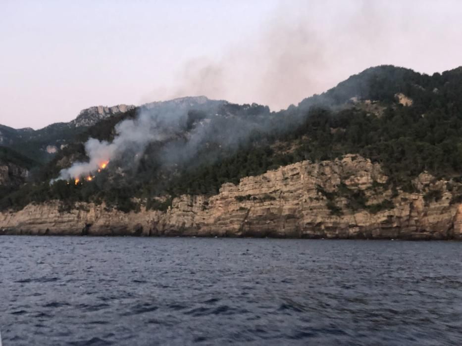 Waldbrand bei Cala Estellencs