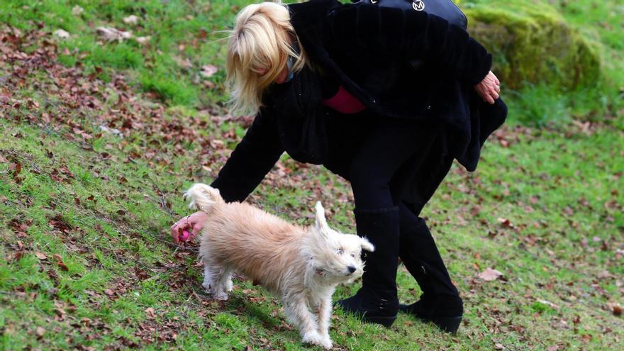 Una mujer junto a su perro en Vigo.