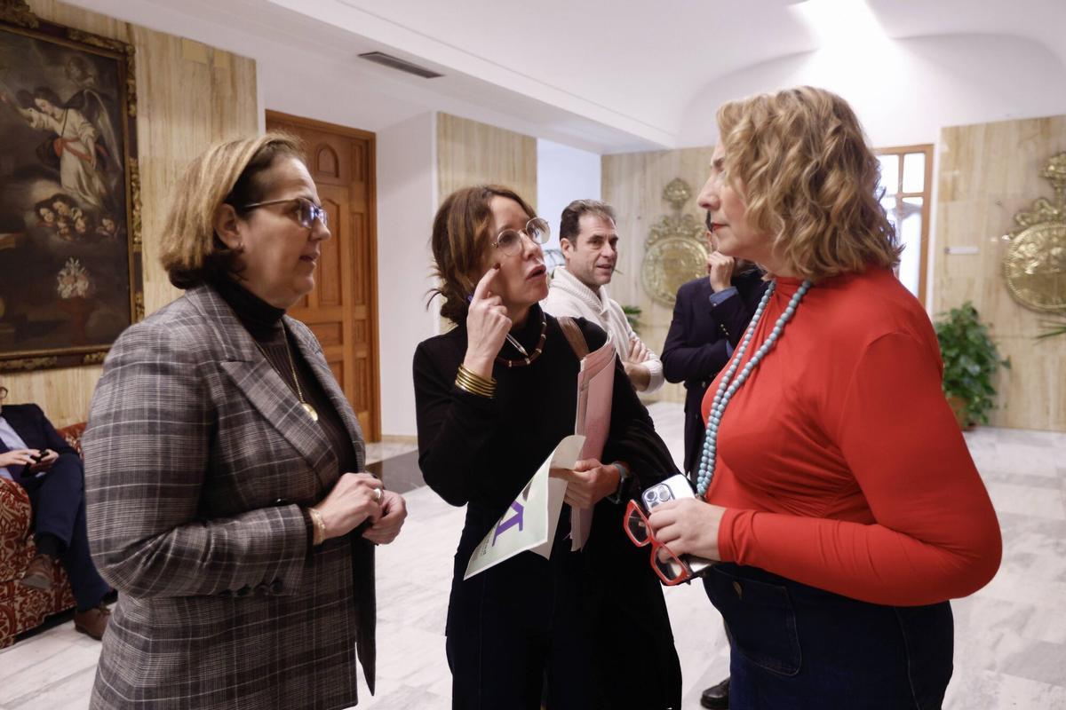 Pleno Ayuntamiento de Córdoba febrero. Ayuntamiento Manifestación de la plantilla de Hitachi, Policía local, La Comisión Coordinadora de la Plataforma de Afectados por los premios de jubilación en el Ayuntamiento de Córdoba, que afecta a más de 250 trabajadores jubilados