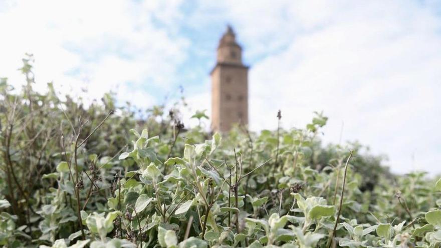 Zona del parque de la Torre de Hércules.