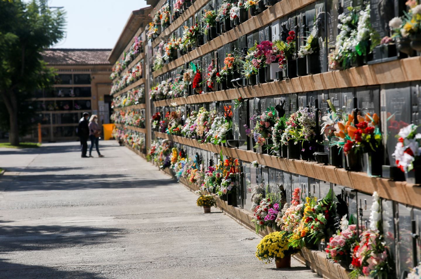 Todos los Santos sin gente en el cementerio de València