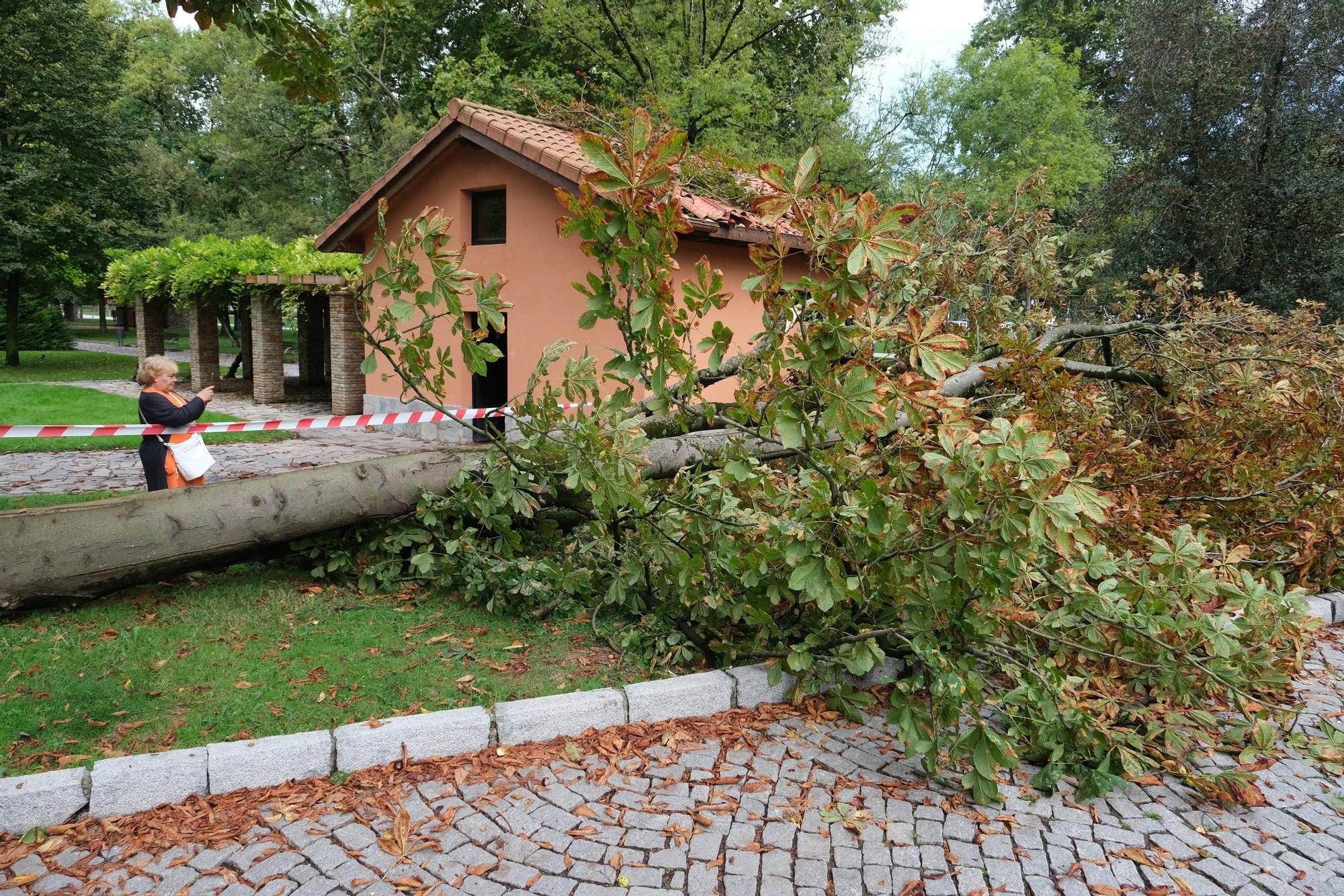 Los efectos de la espectacular tormenta en Gijón, en imágenes