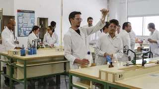 Nuevos currículos de los ciclos formativos de FP en grado básico en Alicante