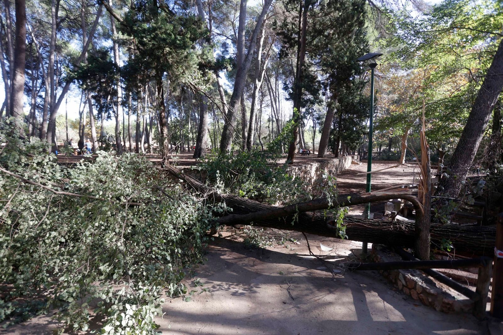 Parque de San Vicente, Lliria con colores otoñales.