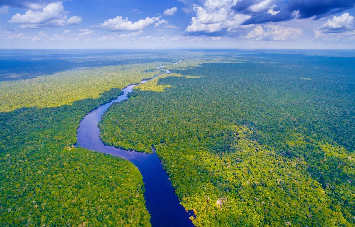 En el río Amazonas, los sedimentos aumentan por incendios y agricultura