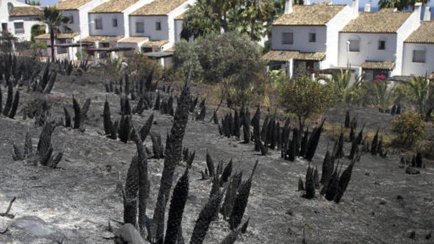 Vista de la zona afectada por el incendio que se ha producido hoy en la zona del Hacho, en la localidad malagueña de Manilvar