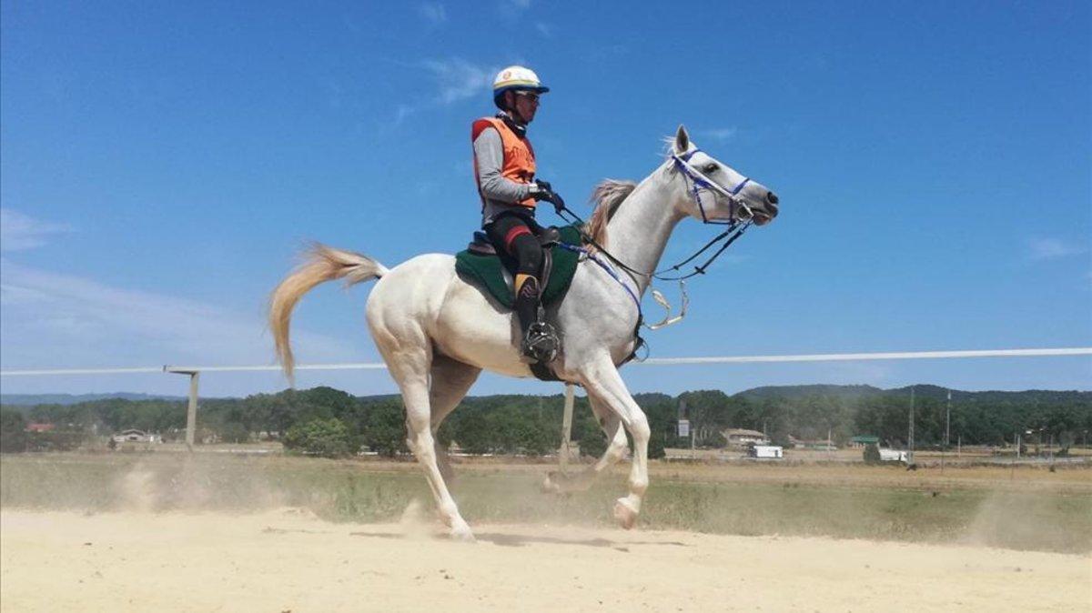 Crivillé montando su caballo Asifa con el que compite