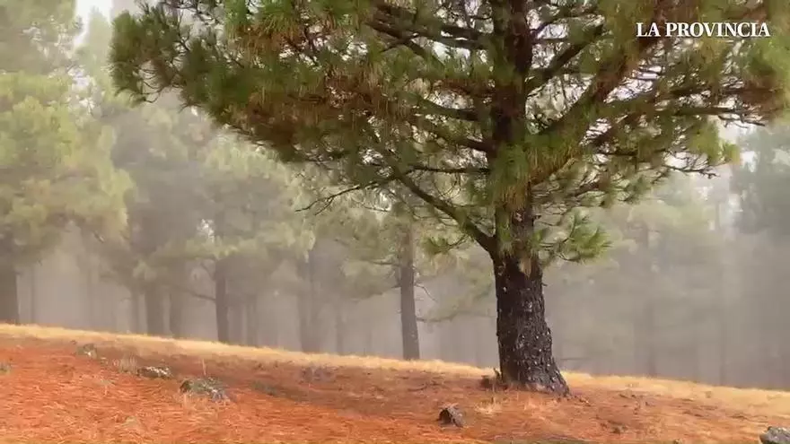 Lluvia horizontal en la cumbre de Gran Canaria