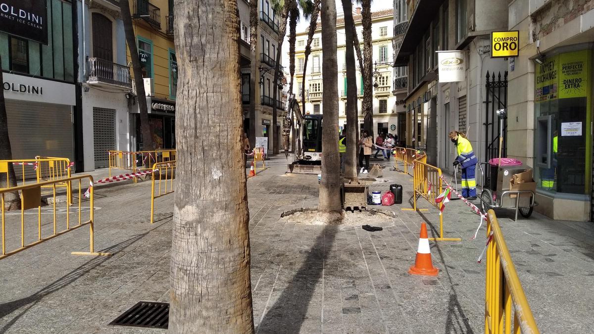 Obras de nuevos alcorques en Puerta del Mar.