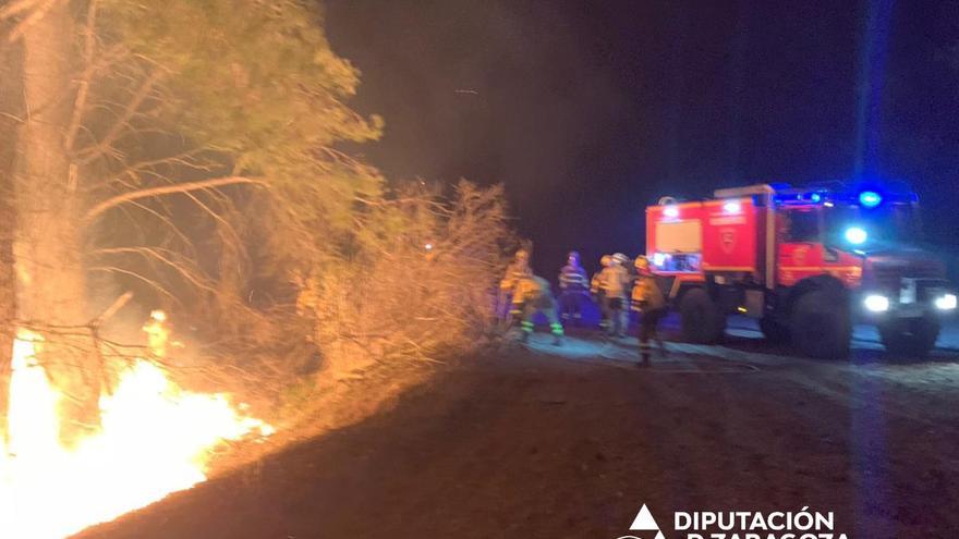 Un incendio forestal calcina unas dos hectáreas de pinar en el barrio rural Sancho Abarca, en Tauste