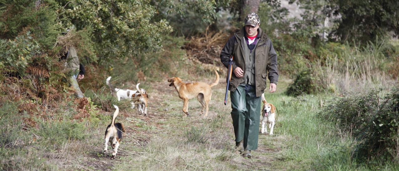 Un cazador pasea por el monte acompañado de sus perros.