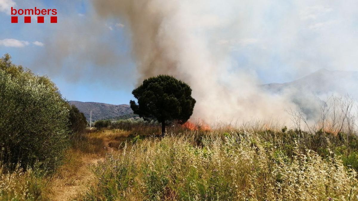 L&#039;incendi agrícola a Roses