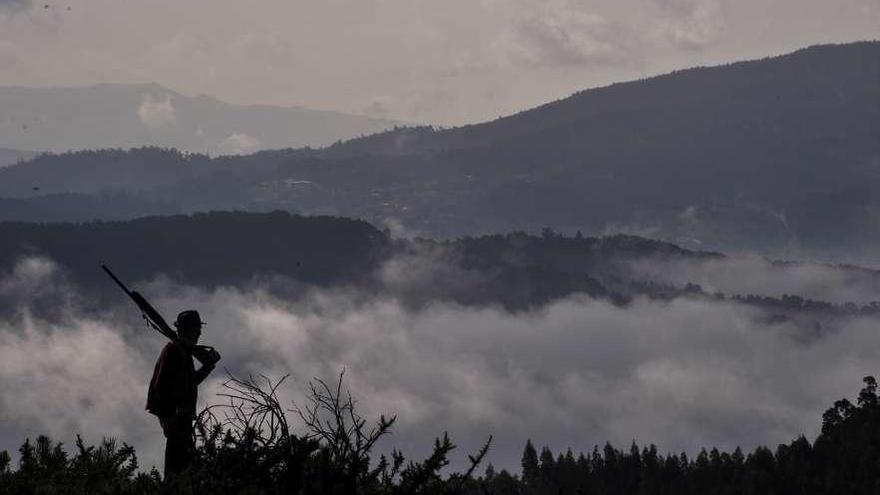 Arriba, un cazador en el monte Xiabre, en Vilagarcía. Abajo, cazadores en el Monte do Carrio, en Lalín. // Iñaki Abella/Bernabé/A. Agra