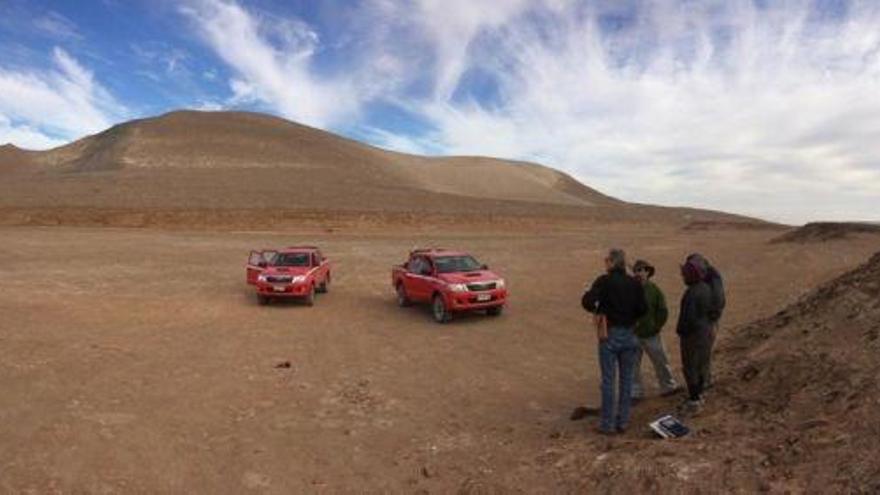Árboles en el desierto de Atacama