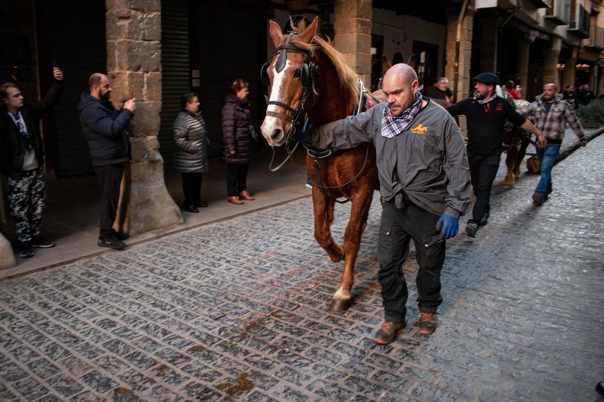 Sant Antoni en Morella.jpg