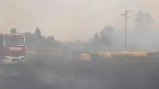 Incendio en un campo de trigo próximo a la Venta del Olivar en Zaragoza