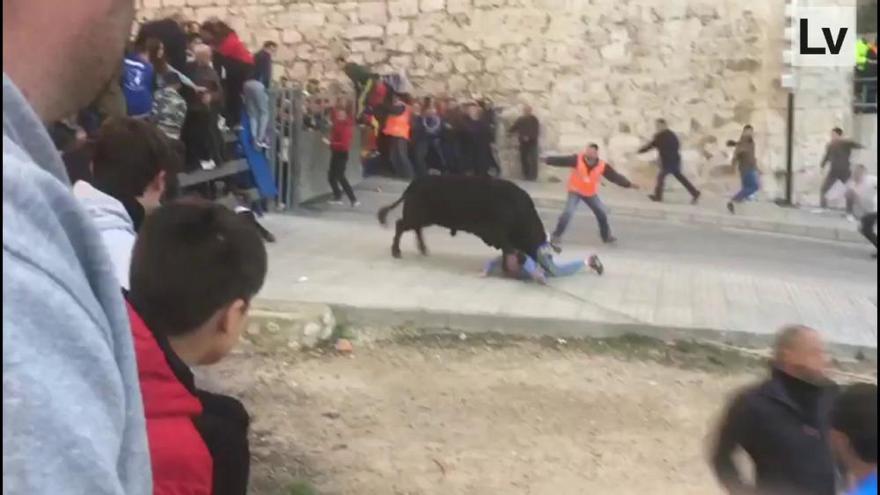 Cogida de un participante del bou en corda de Ontinyent