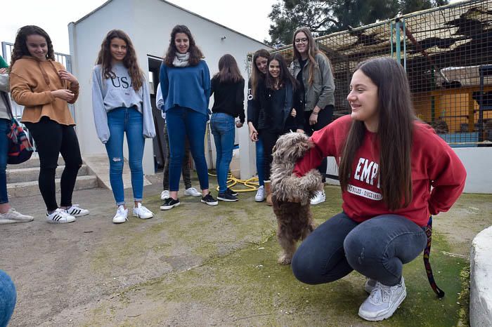 Alumnos del colegio Heidelberg visitan el ...