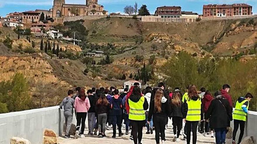 Alumnos del instituto pasean por el puente de piedra de Toro durante la marcha.