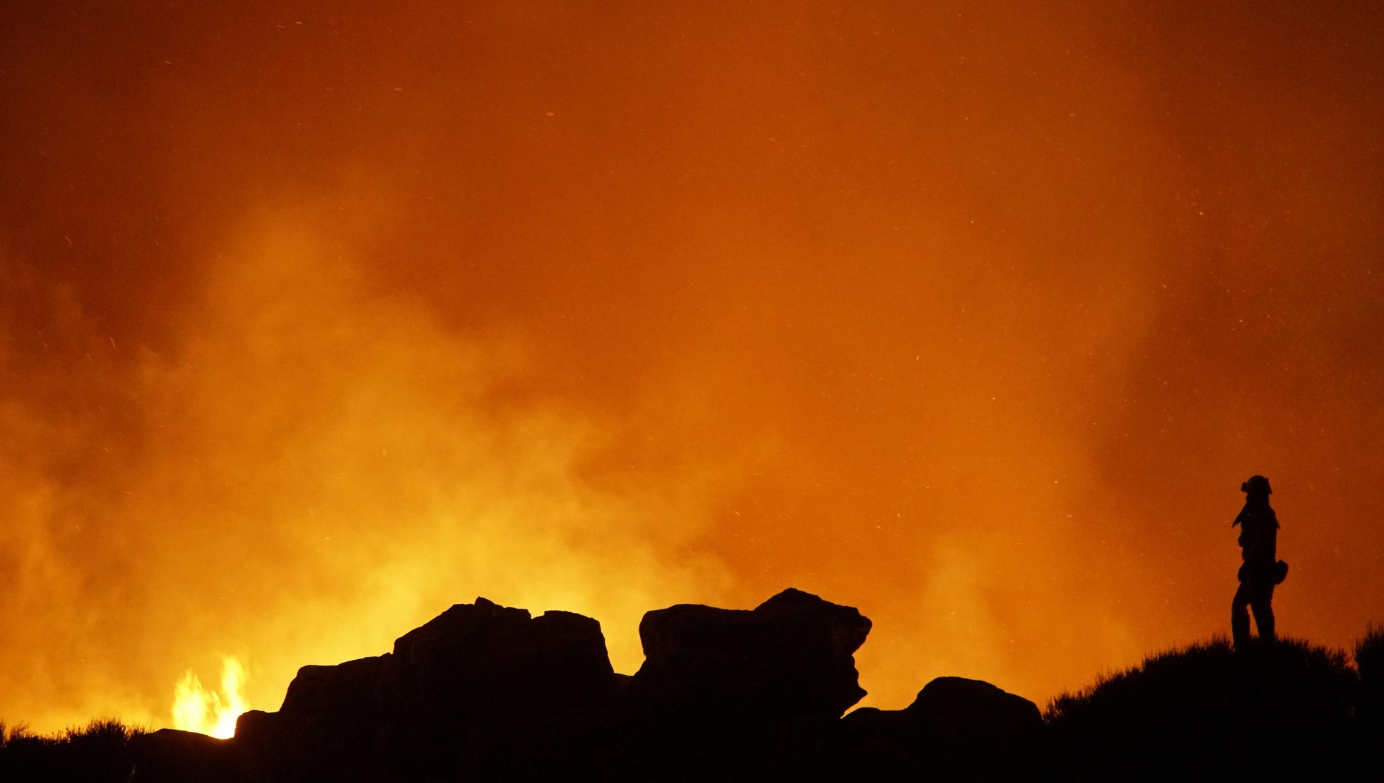 L'incendi forestal de Tenerife, en imatges